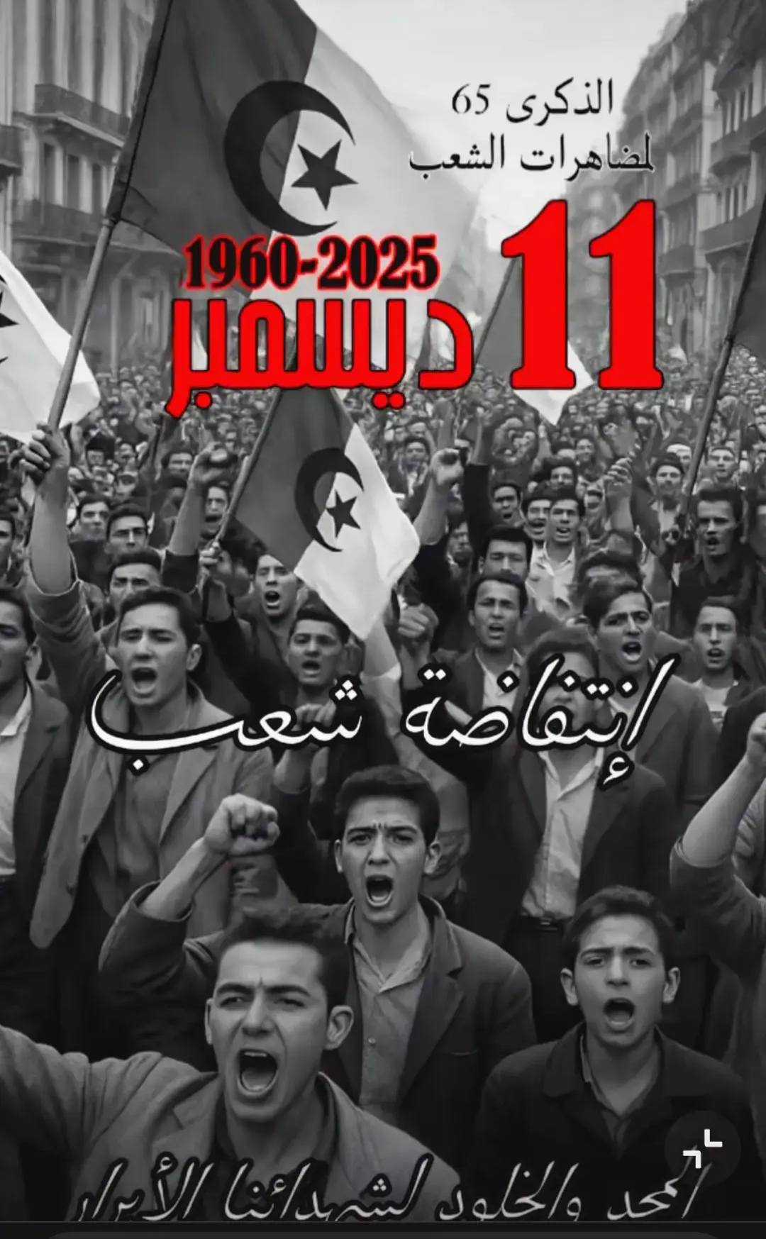 مظاهرات 11 ديسمبر 1960